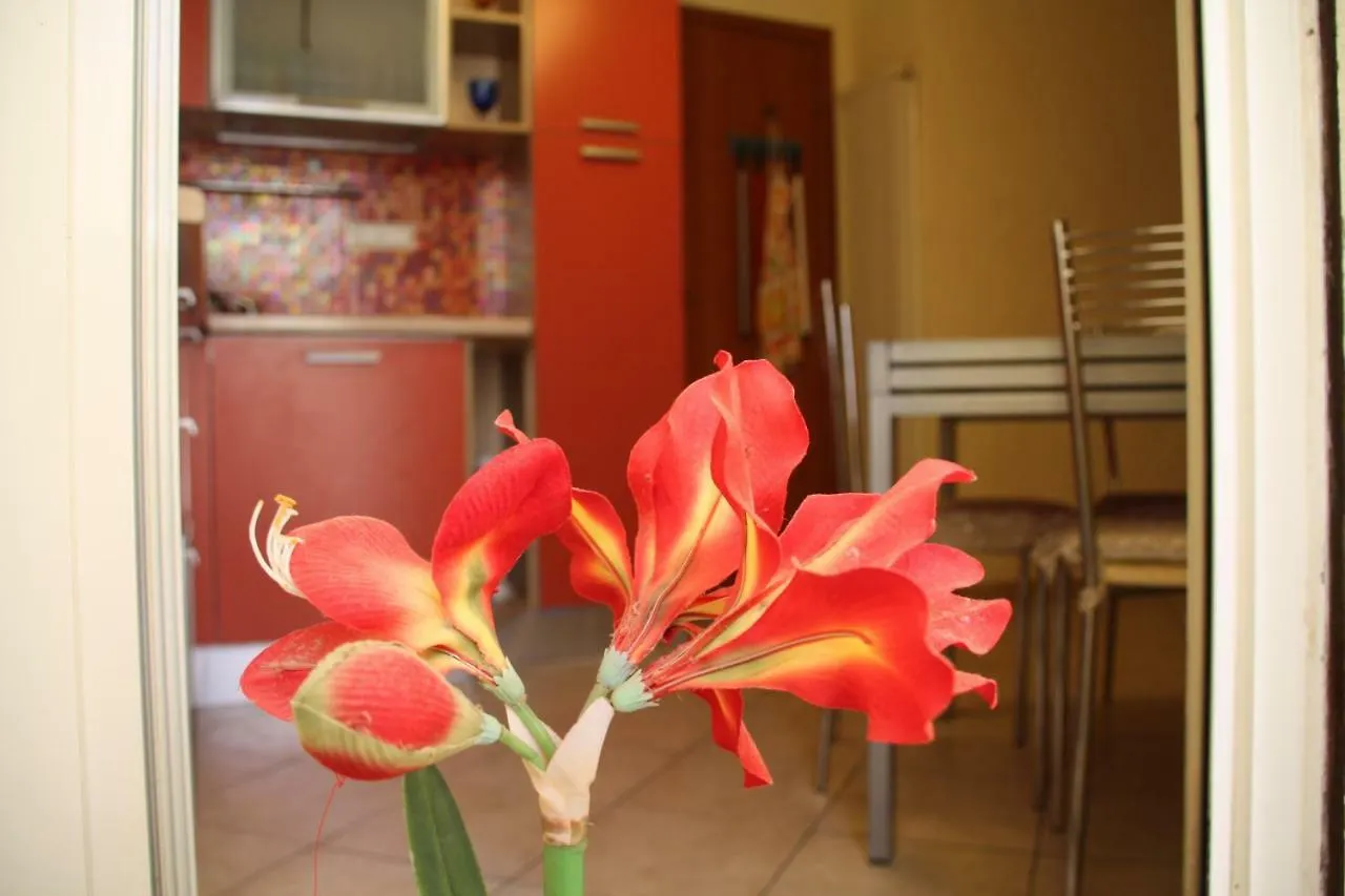 Pisa Town Bed & Breakfast
