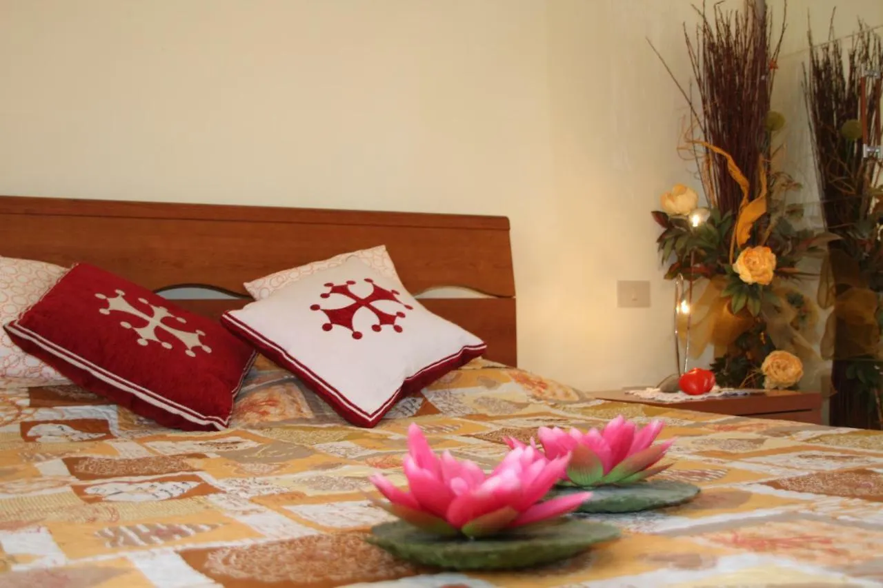 Pisa Town Bed & Breakfast 0*,
