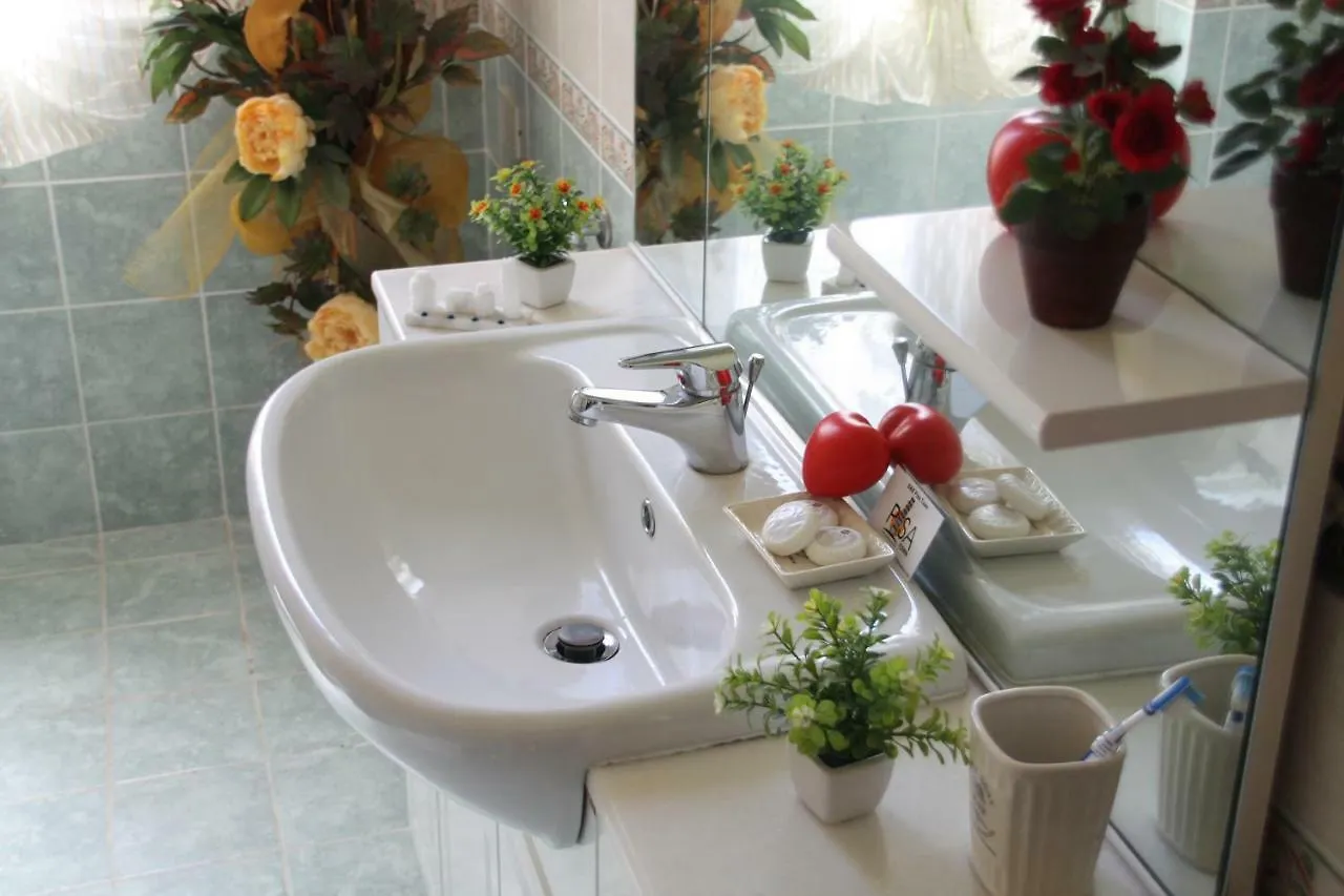 Pisa Town Bed & Breakfast