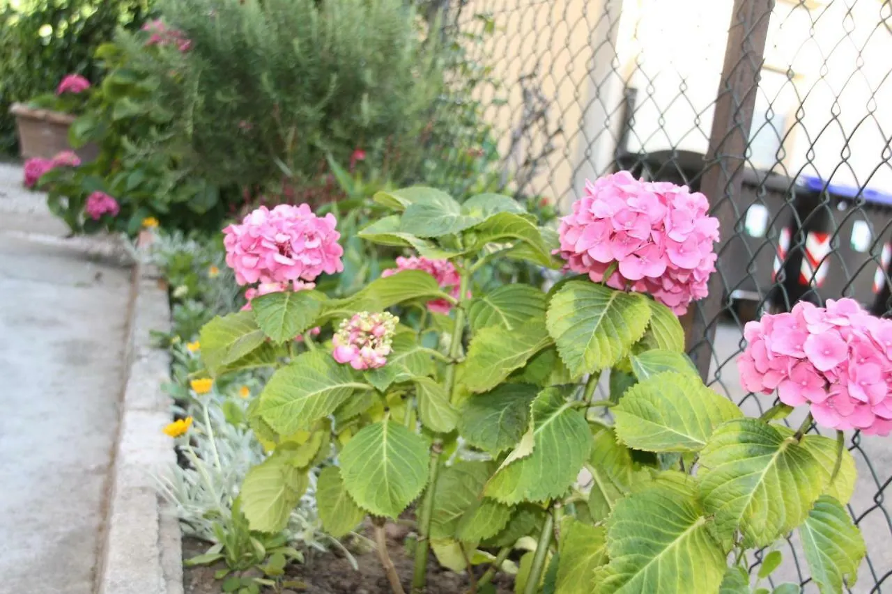 Pisa Town Bed & Breakfast Italy