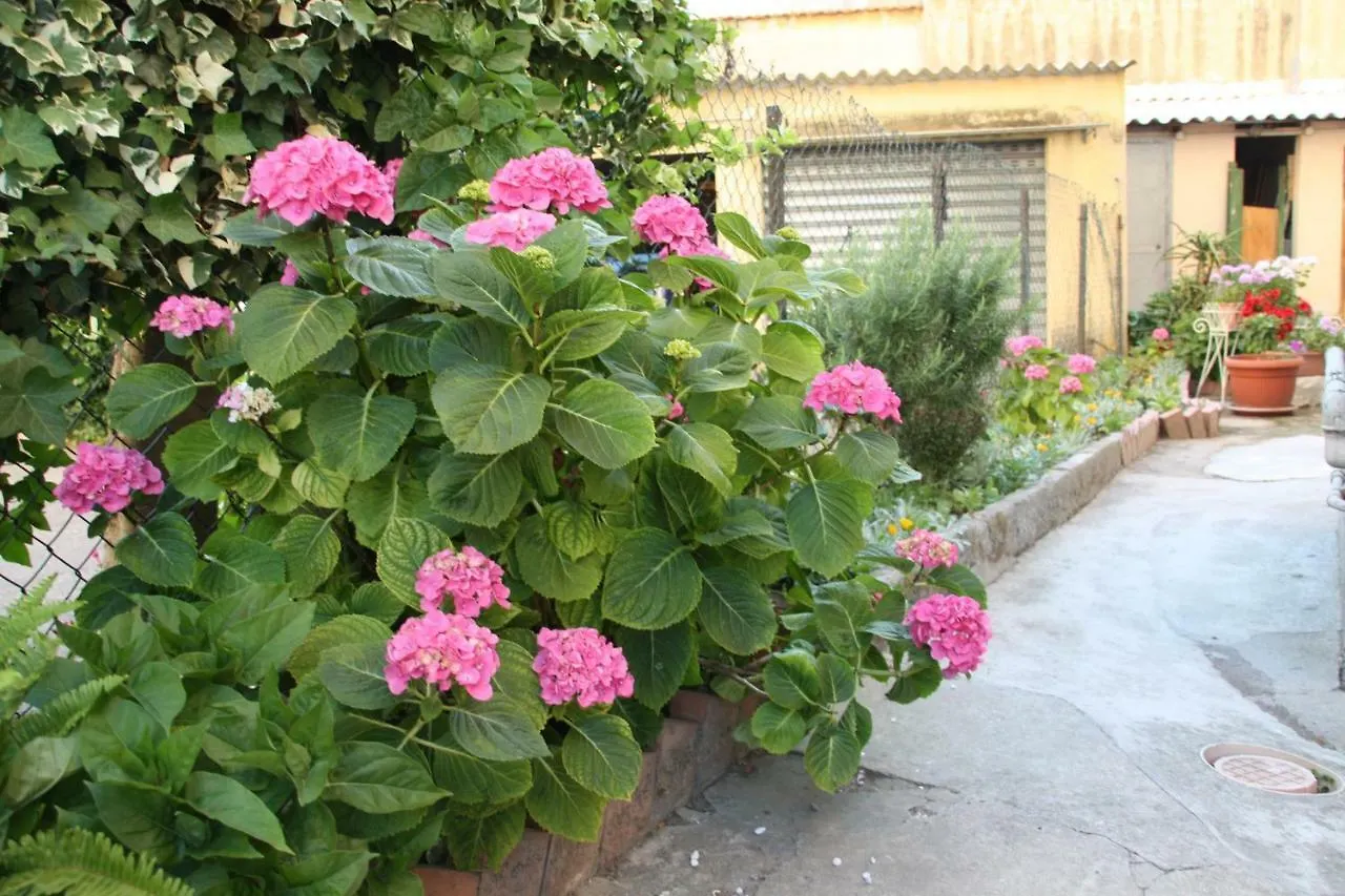 Pisa Town Bed & Breakfast