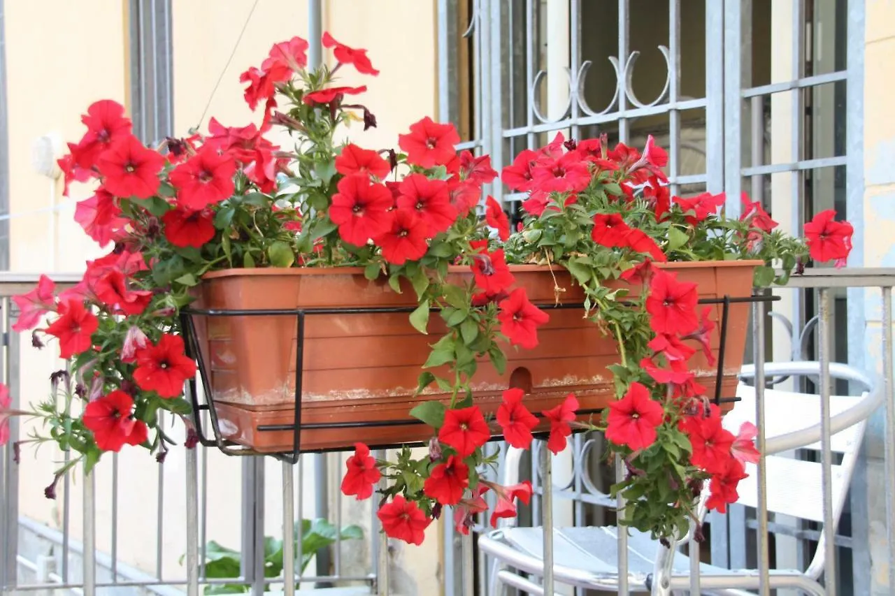Pisa Town Bed & Breakfast