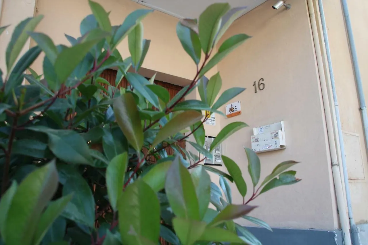 Pisa Town Bed & Breakfast