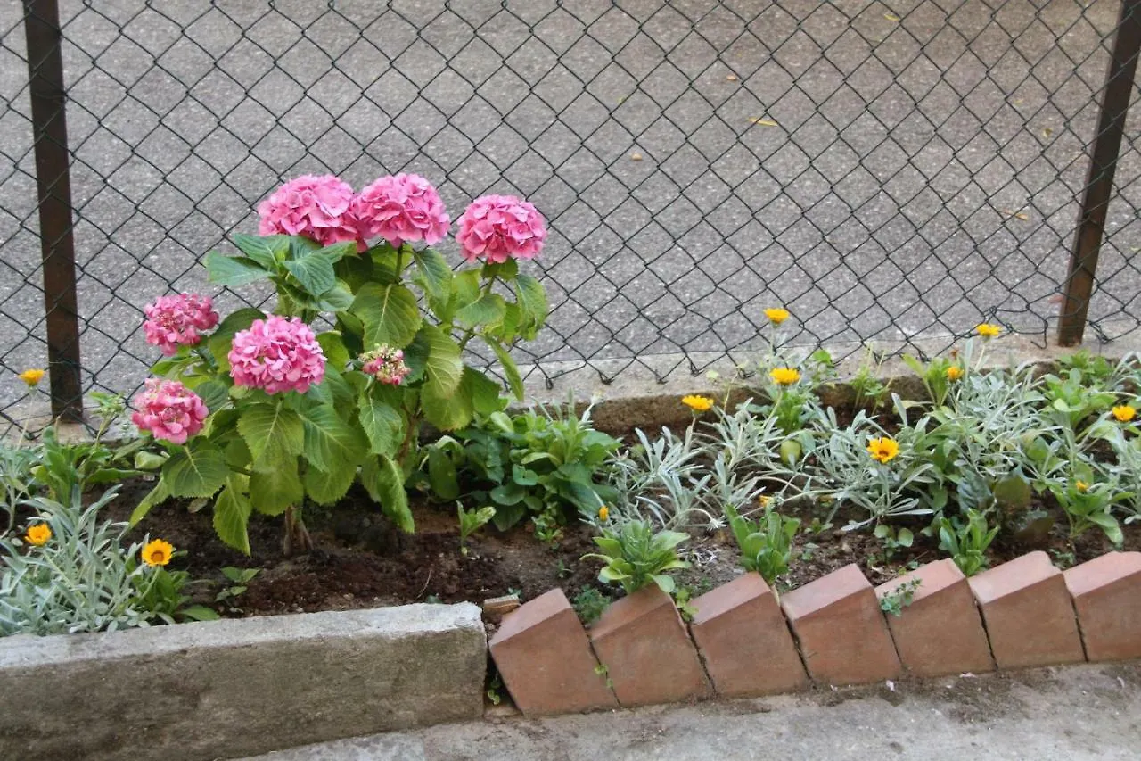 Pisa Town Bed & Breakfast Italy